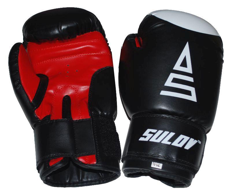 Sulov Box rukavice DX černé Sulov