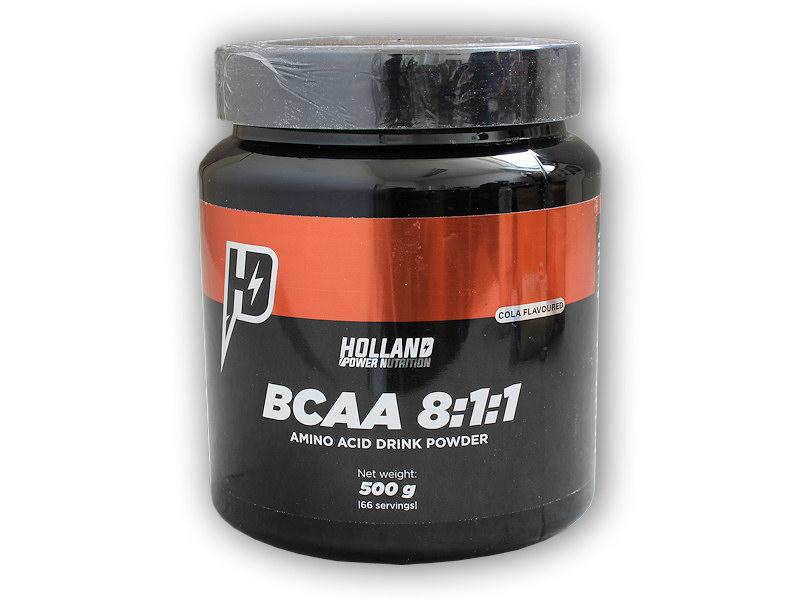 Holland power BCAA 8-1-1 powder 500g Holland power