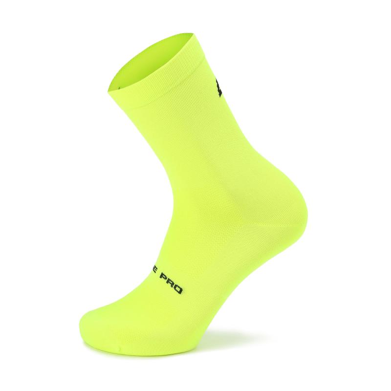 Alpine Pro COLO Alpine Pro