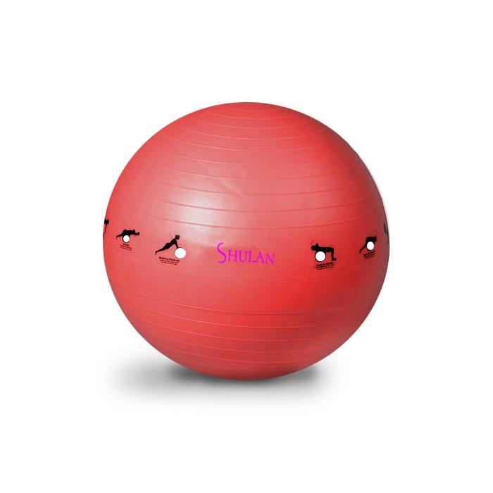 Sedco Gymnastický míč SHULAN YOGA BALL 65 cm Sedco