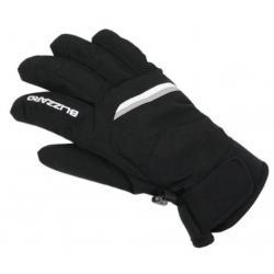 Blizzard Viva Plose ski gloves black/white/silver Blizzard