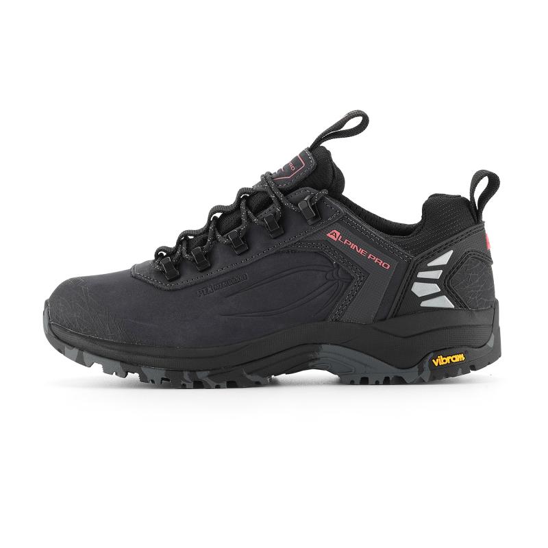 Alpine Pro SPIDERE Alpine Pro