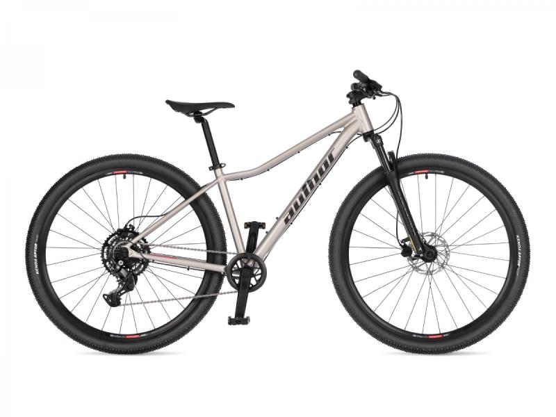 Author A-Matrix 29D 2026 Author