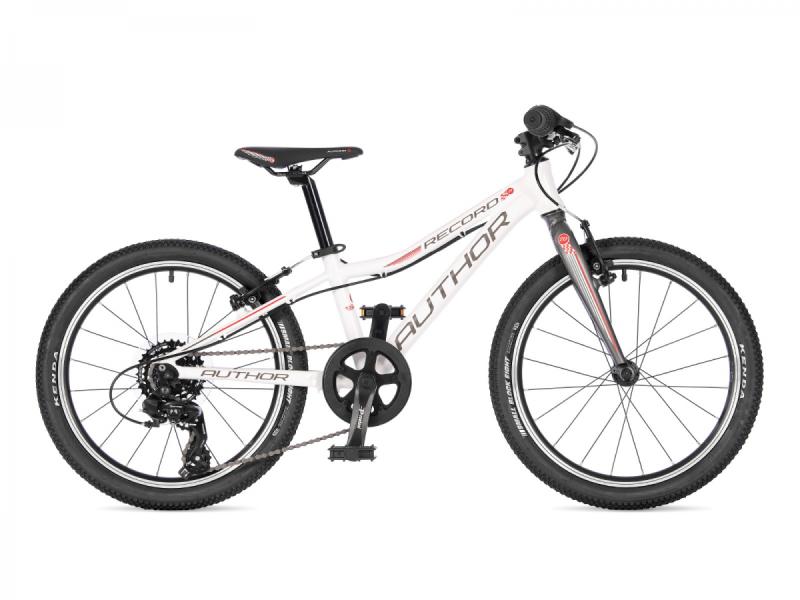 Author Record 20 2025 Author