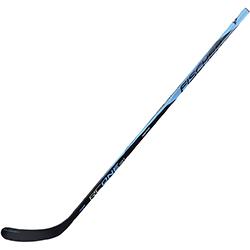 Fischer RC ONE IS1 INT S25 Fischer