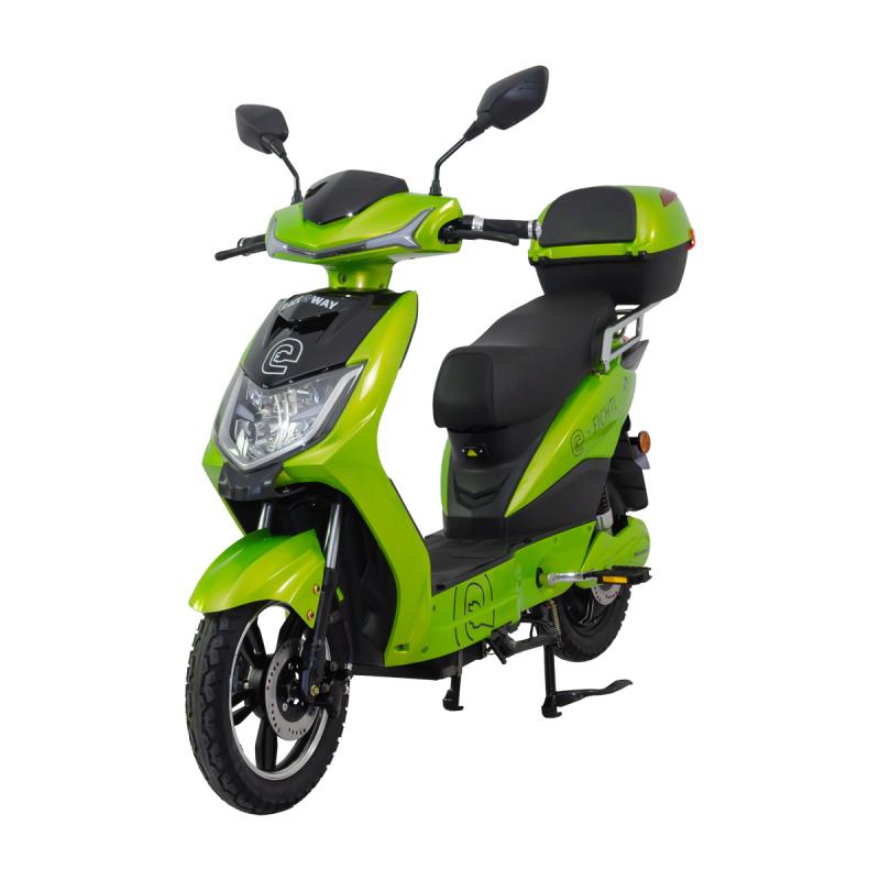RACCEWAY Elektroskútr E-fichtl sv.zelený-metalický s baterií 20Ah RACCEWAY®