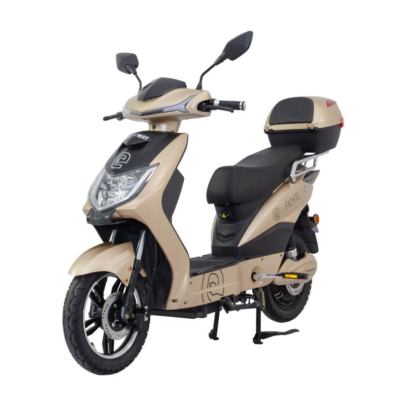 RACCEWAY Elektroskútr E-fichtl sv.zlatý-matný s baterií 20Ah RACCEWAY®