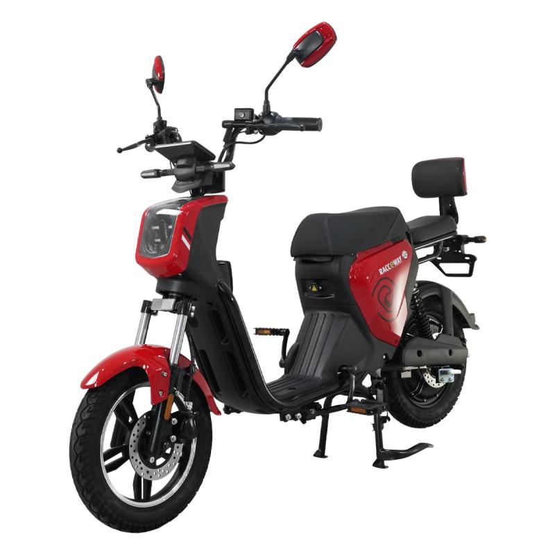 RACCEWAY Elektroskútr Pařez 25 RACCEWAY